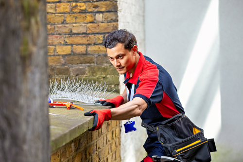 Pimlico Plumbers